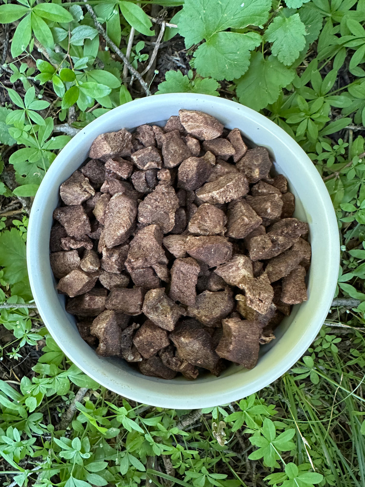 Lucky & Friends Beef Liver Dog Treats